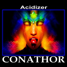 Acidizer