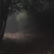The Nightwalker
