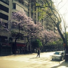 "Primavera" Ave. Santa Fe