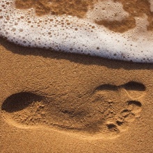 12.- One step