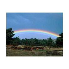 Somewhere Over the Rainbow
