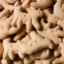 Animal Crackers Ft. Jimmery Caine