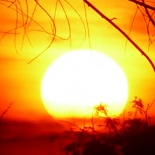 Rising Sun