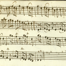 Canarios