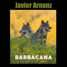 The call of Barbacana