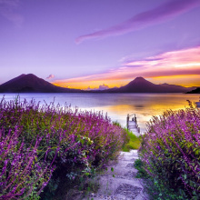 Landscape