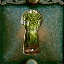 Lost in Wonderland