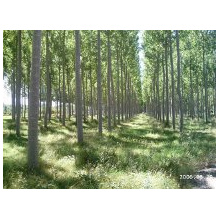 NO ENTENDISTE