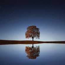 aparente tranquilidad (Maabo y Fankel)
