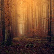 Paisajes Ocres