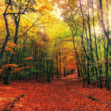 Otoño