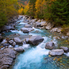RIVER