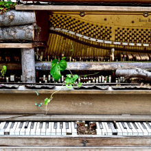 Musical Obsession