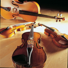 Movimiento de Quinteto