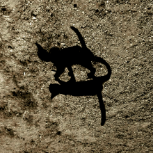 Mi gato no tiene pienso luego no existe