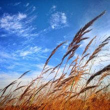 When the wind blows