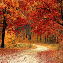 autumn funk