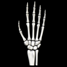 Mistreated Fingers