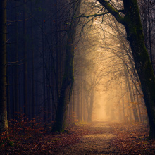 days of dawn