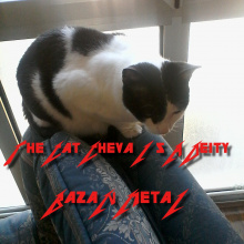 2.- The Cheva Cat Is A Deity I 2023
