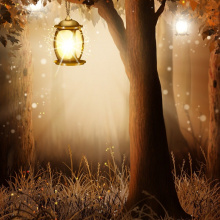 That Little Light That Sometimes Turns On