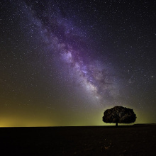 Alone In The Night