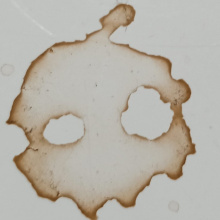 Gvilsa 27. El gato. Seis meses antes del pliegue