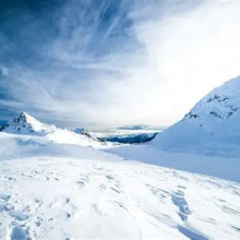 Cold Winter