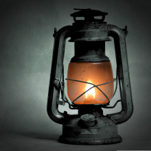 Searching for a Light