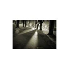 Shadows