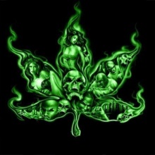 Cannabis