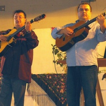 VALS