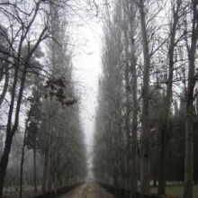 Perdido En Mi Soledad