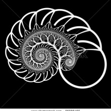 Fractal 2