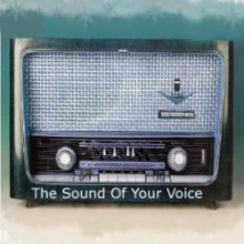 The Sound Of Your Voice