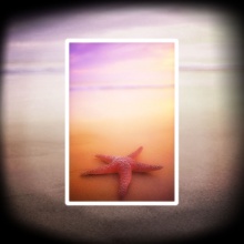 Starfish (Estrella de Mar)