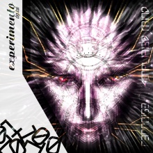 Amplified Mind