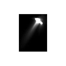 Cachito de Luz