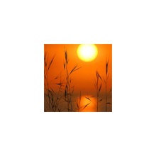 Crepusculo