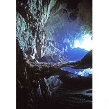Plato's Cave