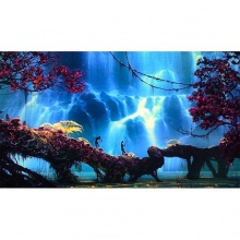 One night in Pandora