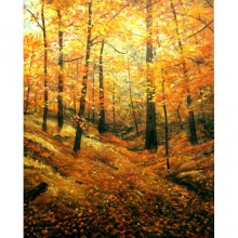 Autumn Drifting