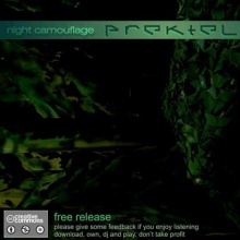 Night Camouflage