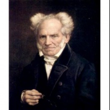 Facing Schopenhauer
