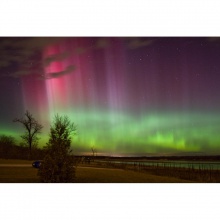 Cotton Whispers