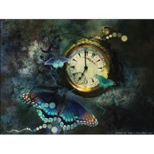 Pasa el tiempo (dedicado a Moon)