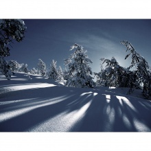 Shadows