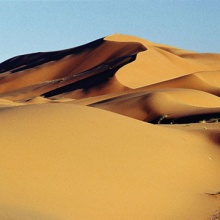 Manuel de la Torre and Angel Alcocer- Dunes of the mind