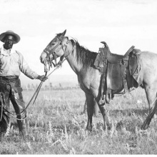 The Cowboy