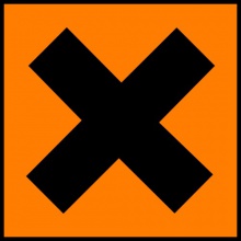 XPERIENCE
